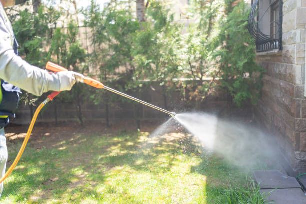 Pest Control Cost in Rehoboth Beach, DE
